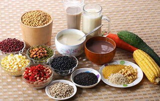 豆类食品的制作艺术与电子产品的科技交融